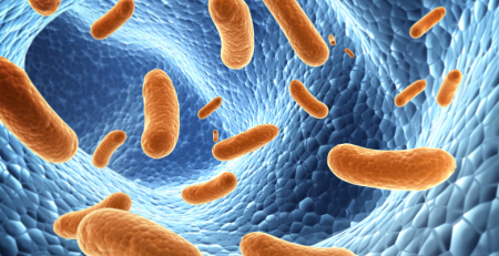 Transmissão de micróbios entre hospedeiros afeta a evolução bacteriana no intestino