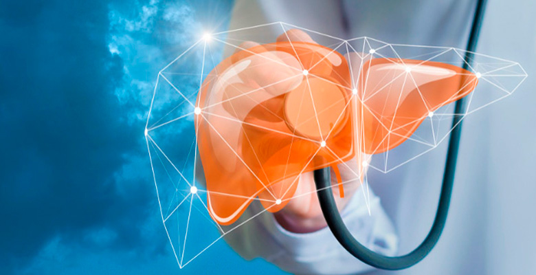 EMA qualifica primeira ferramenta de IA para diagnosticar e avaliar gravidade da MASH em biópsias hepáticas