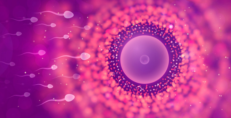 É urgente reforçar a oncofertilidade no cancro gastrointestinal indica estudo europeu