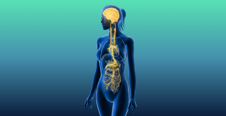O microbioma intestinal e a saúde mental em destaque em Portugal