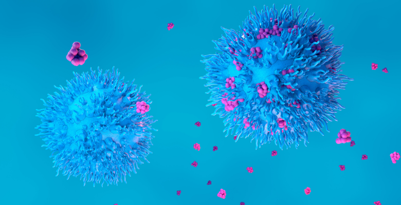 GIMM investiga potencial imunoterapia com células DOT em cancro colorretal