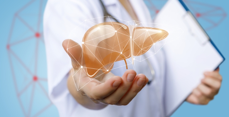 Estudo demonstra desafios na referenciação para o transplante hepático em Portugal