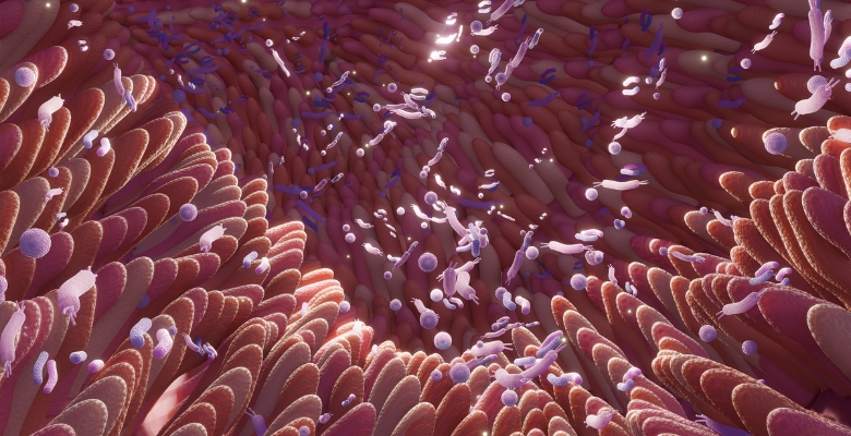 Eixo intestino-pele: disfunção intestinal associada à gravidade da acne
