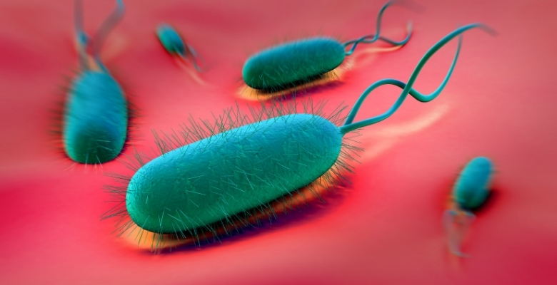 Disparidade no tratamento da infeção por Helicobacter pylori em crianças na Europa